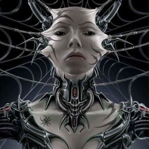 Meet your Posher, Mallory